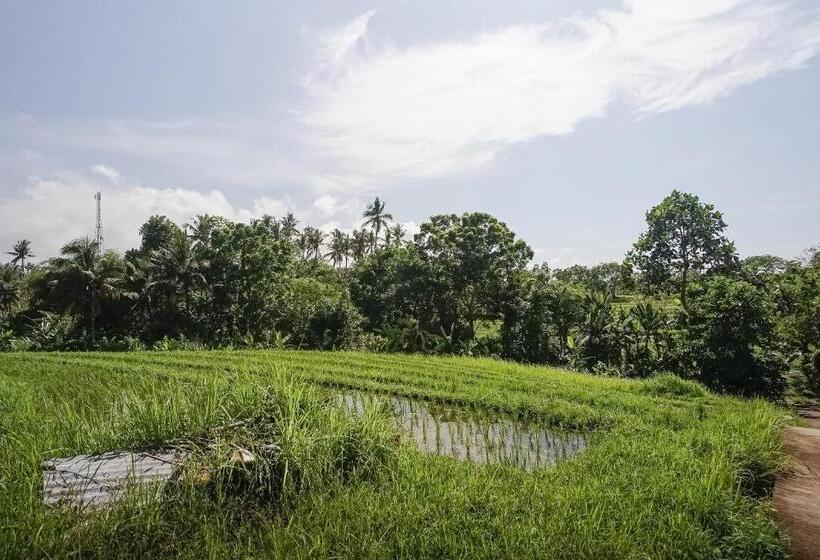 פנסיון Mejan Home Stay