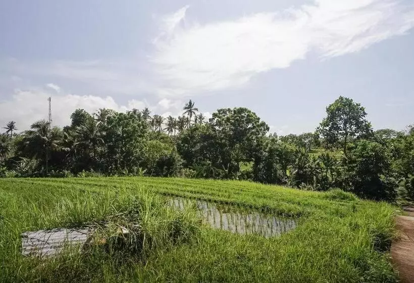 Majatalo Mejan Home Stay