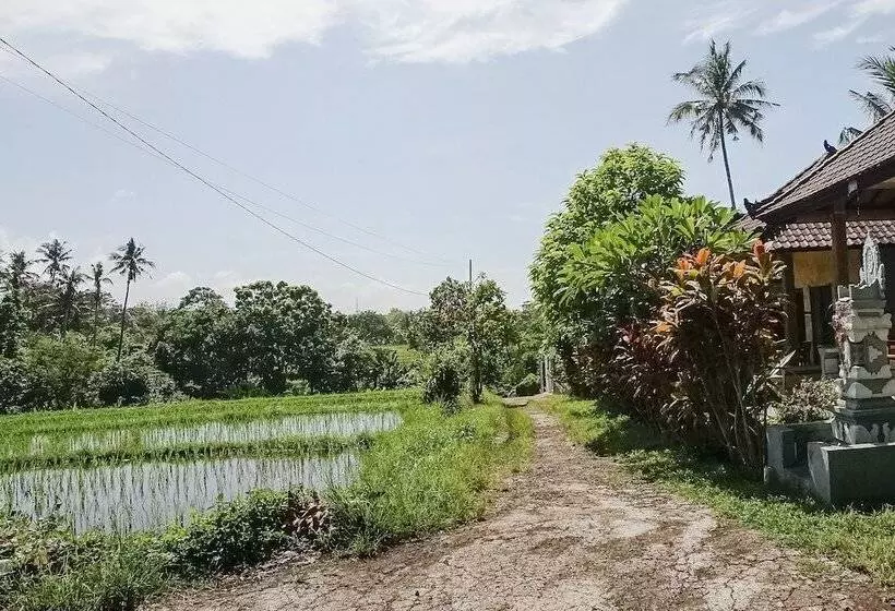 Majatalo Mejan Home Stay