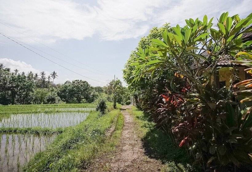 פנסיון Mejan Home Stay