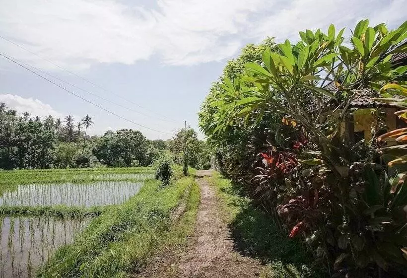 Majatalo Mejan Home Stay