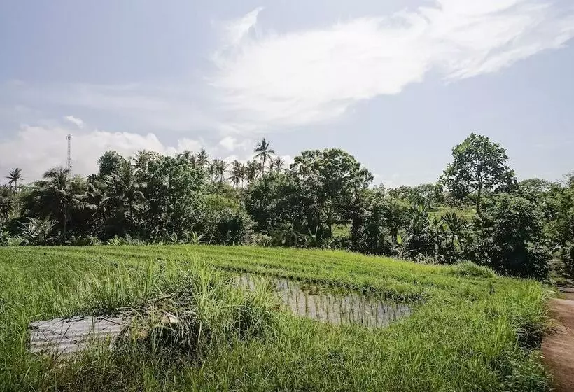 Majatalo Mejan Home Stay