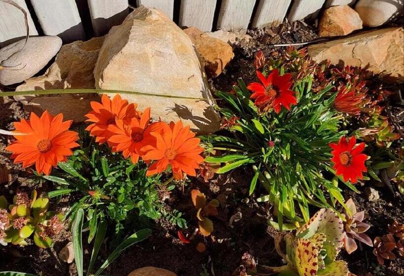 بنسيون Pebbles & Sunsets