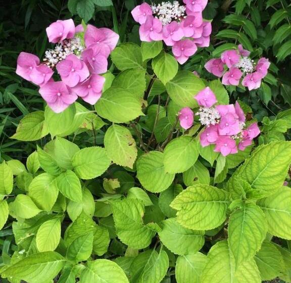 צימר Chambres De La Nonette