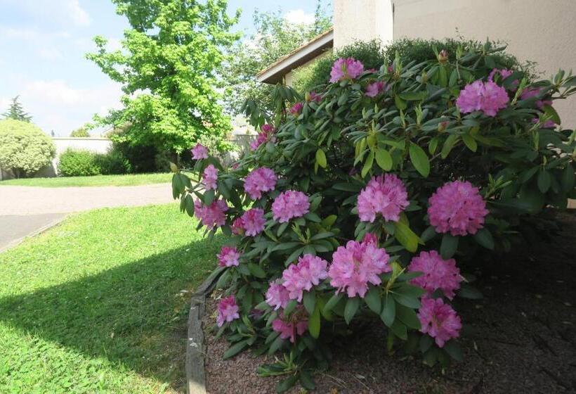 צימר Dune & Ocean