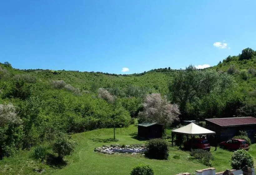 Aamiaismajoitus (B&B) Il Baiocchino