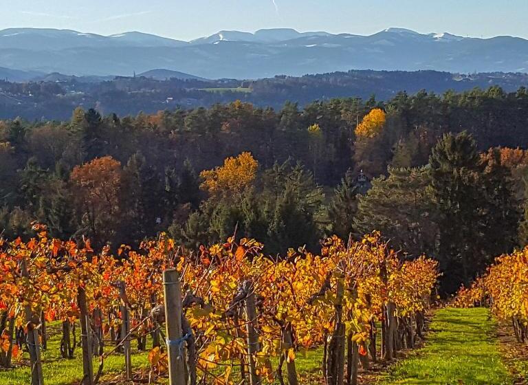 ベッドアンドブレックファースト Simandlhof