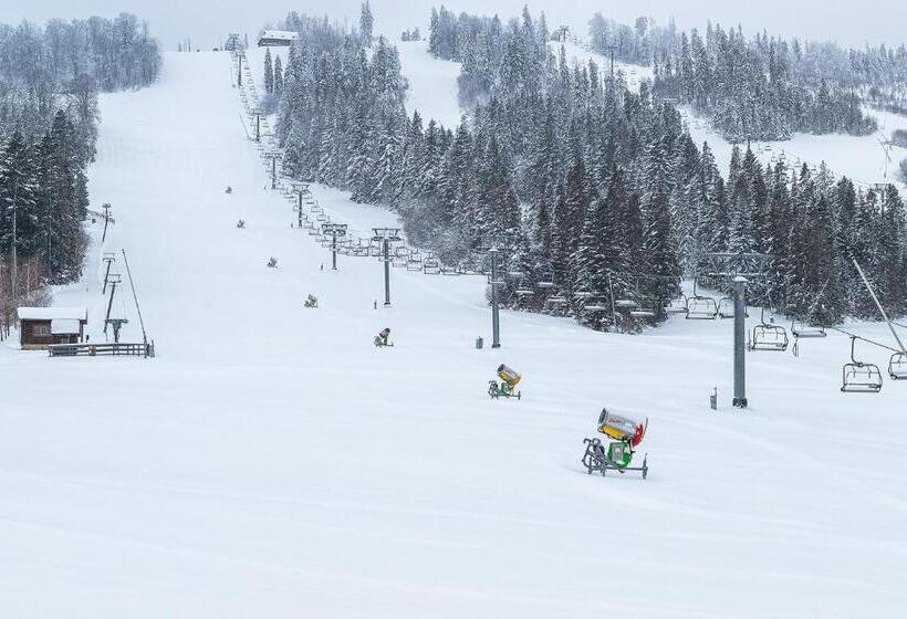 酒店 готель плай