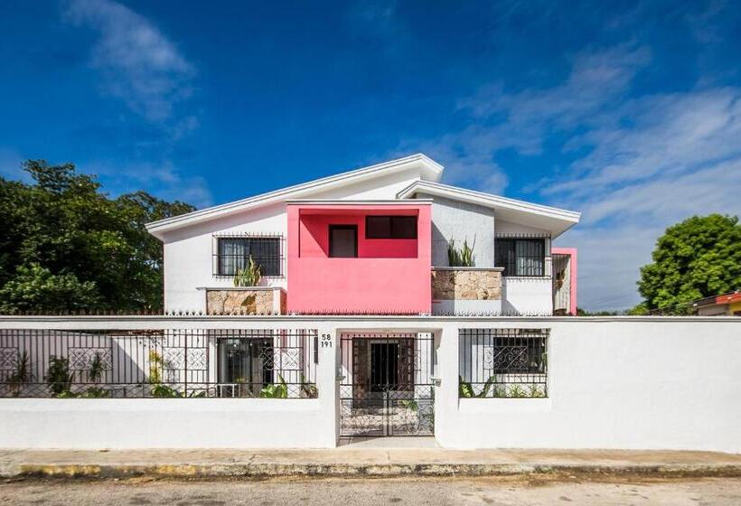 هتل Boutique Casa Xaan