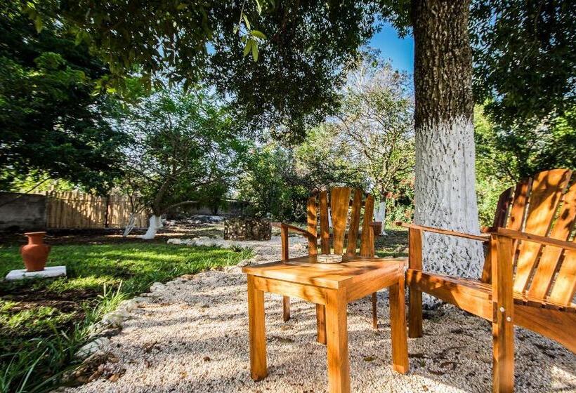 هتل Boutique Casa Xaan