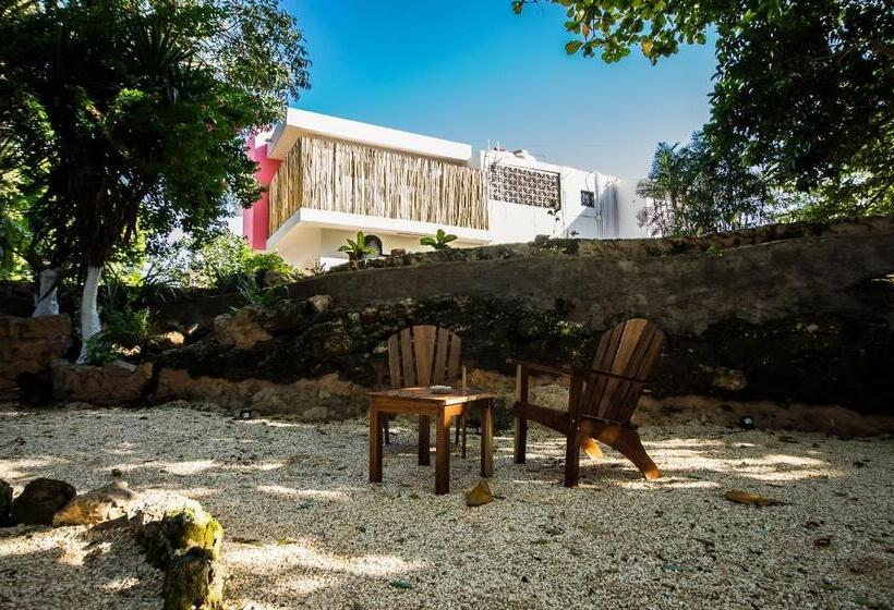 هتل Boutique Casa Xaan