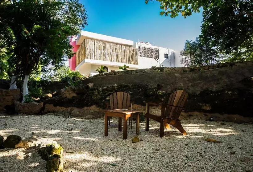 هتل Boutique Casa Xaan