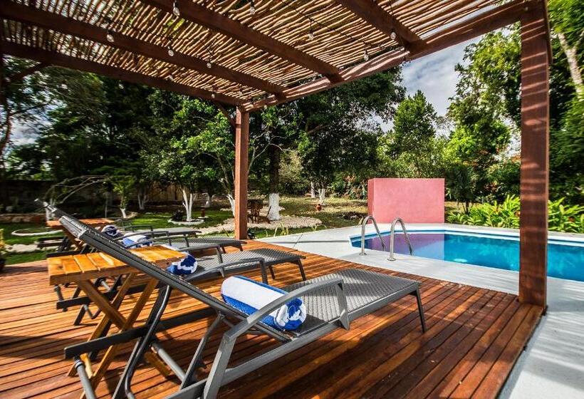 هتل Boutique Casa Xaan