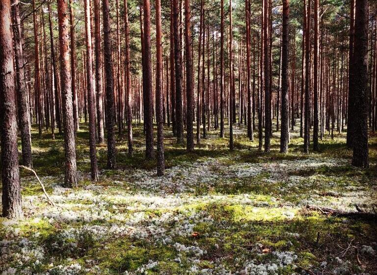 پانسیون Merekalda Accommodation   Adults Only