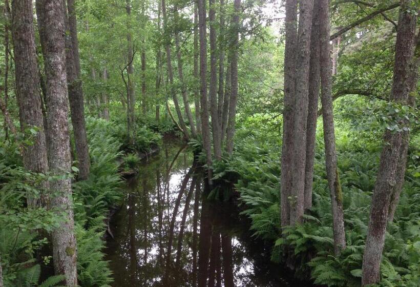 پانسیون Merekalda Accommodation   Adults Only