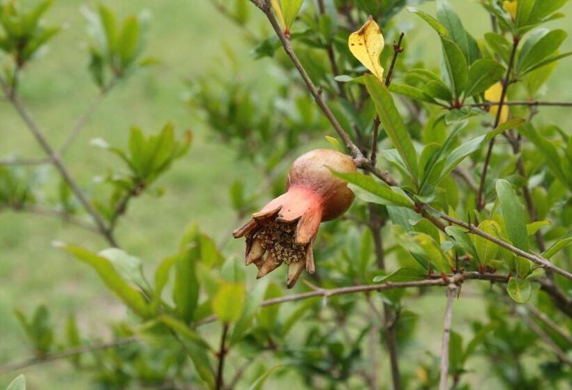 Majatalo Vennebos Cottages