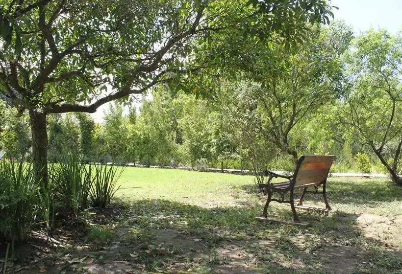 Majatalo Vennebos Cottages