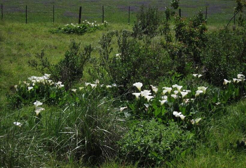 Majatalo Vennebos Cottages