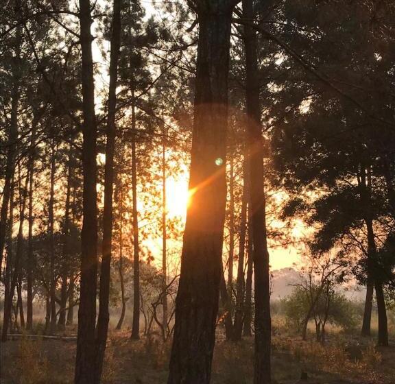 Majatalo Vennebos Cottages