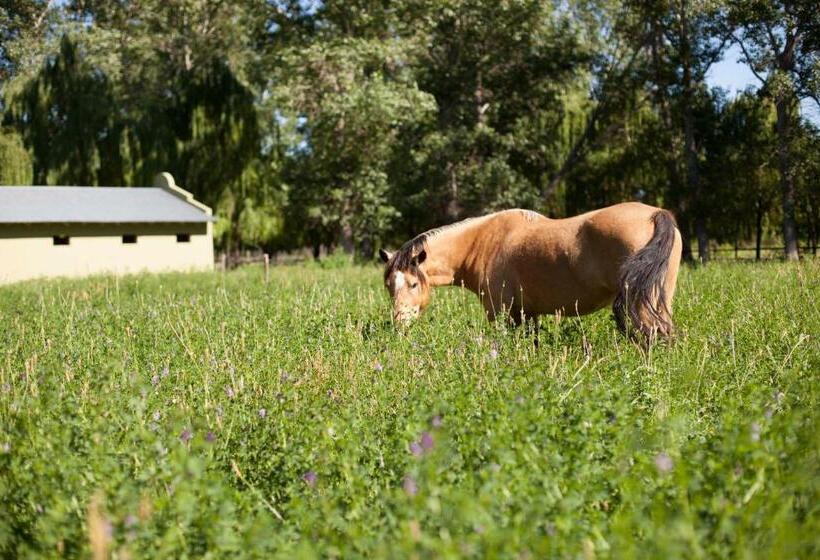 旅馆 La Matera Posada De Campo