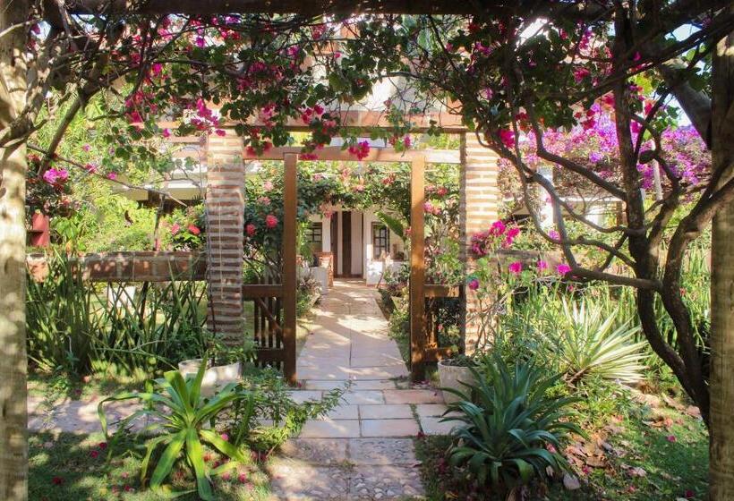 هاستل Pousada Morada Do Sol