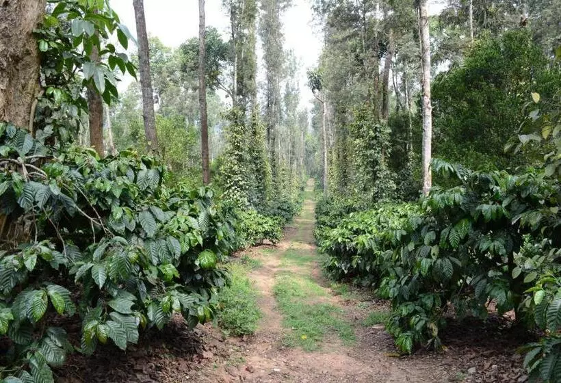 ホテル Heights Farm Stay   Coffee Estate Stay