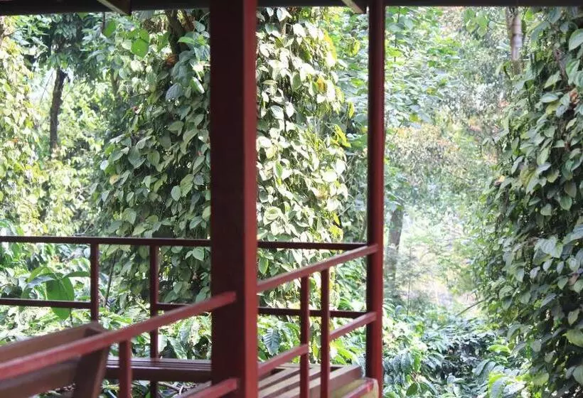 ホテル Heights Farm Stay   Coffee Estate Stay