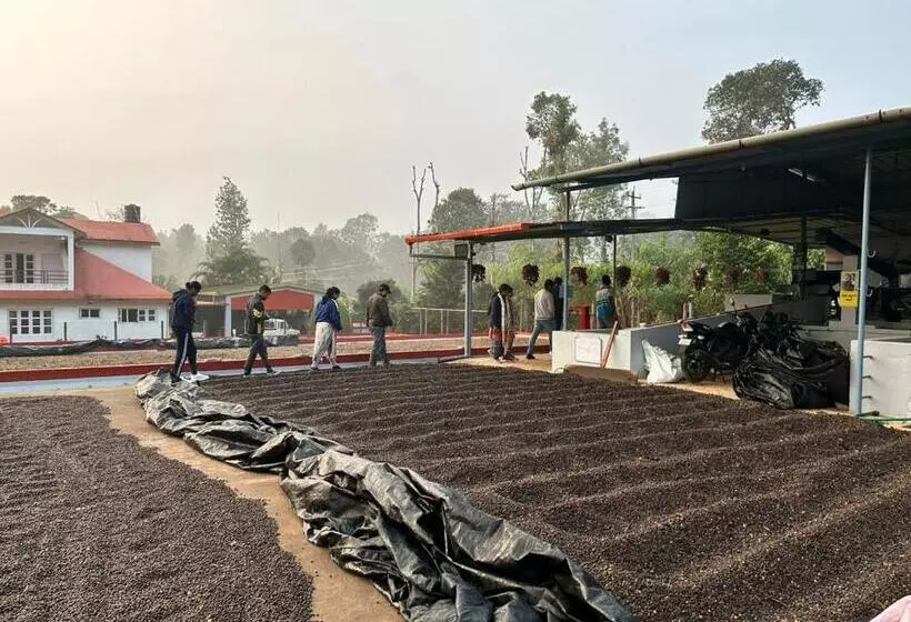 ホテル Heights Farm Stay   Coffee Estate Stay