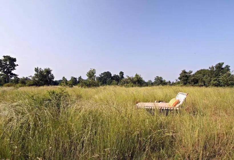 ホテル Samode Safari Lodge