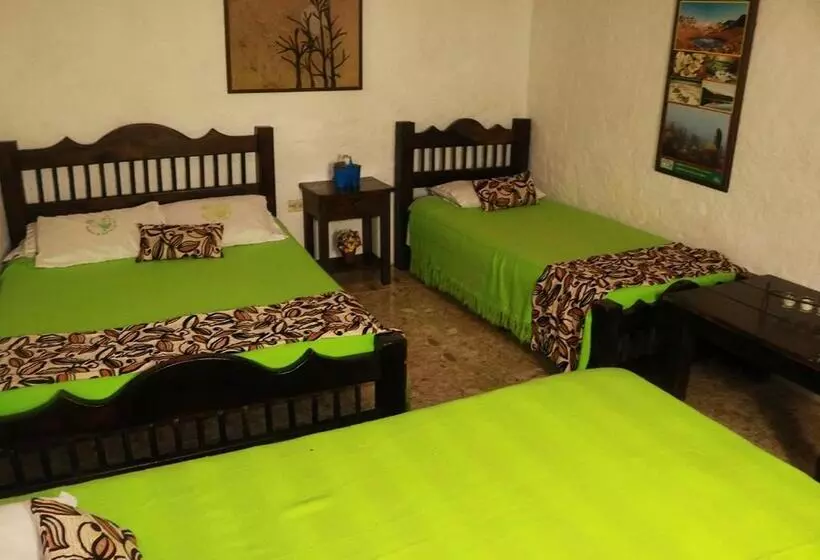 ペンション Hostal El Zafiro Del Café
