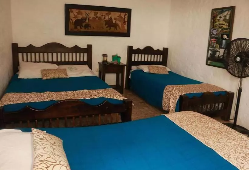 ペンション Hostal El Zafiro Del Café