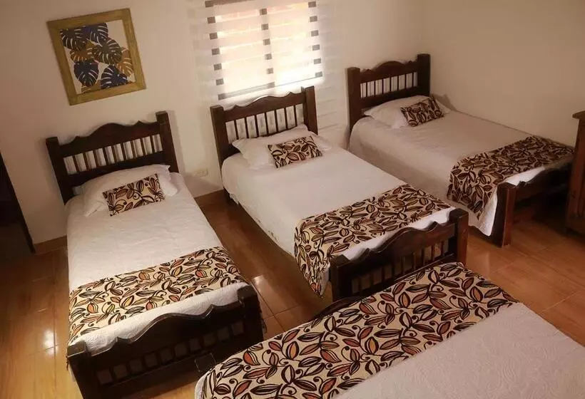 ペンション Hostal El Zafiro Del Café