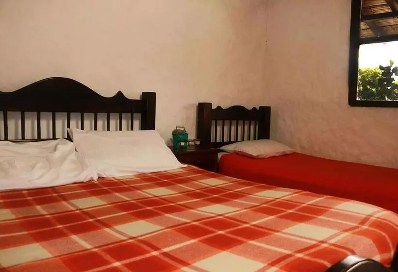 ペンション Hostal El Zafiro Del Café