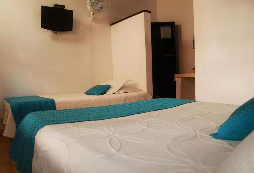 ペンション Hostal El Zafiro Del Café