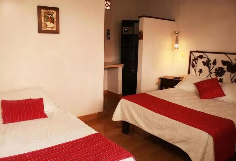 ペンション Hostal El Zafiro Del Café