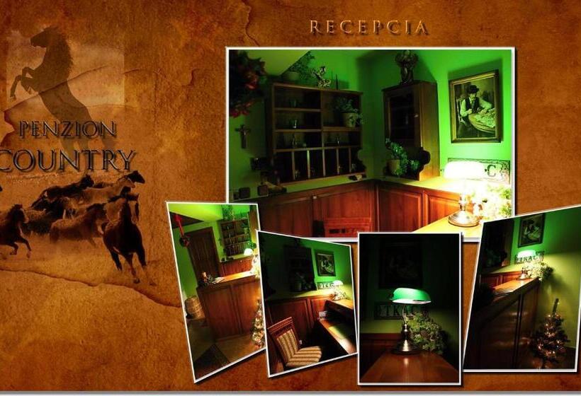 膳宿费 Penzión Country