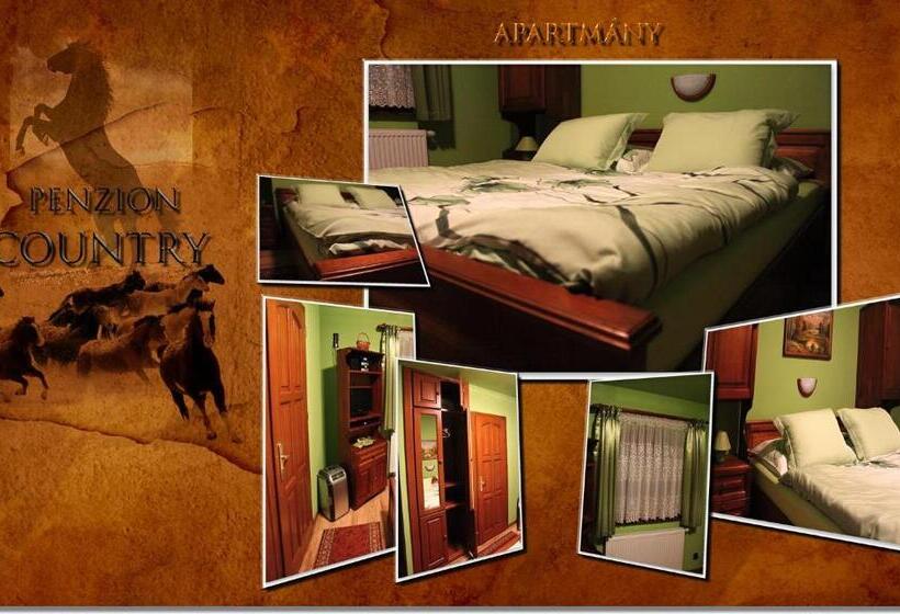 膳宿费 Penzión Country