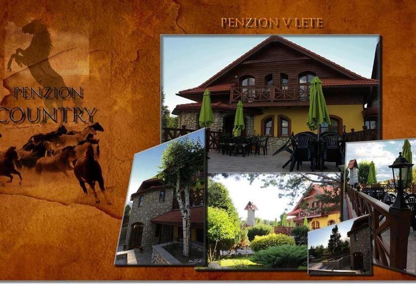膳宿费 Penzión Country