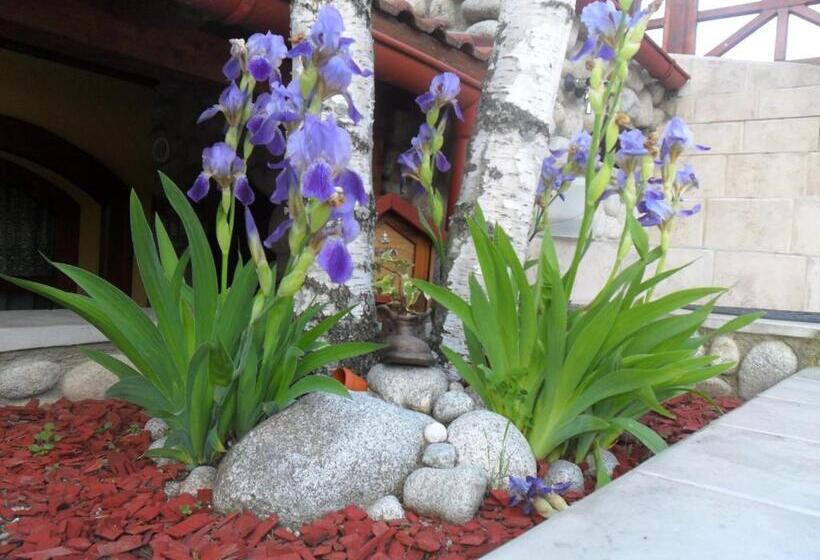 膳宿费 Penzión Country