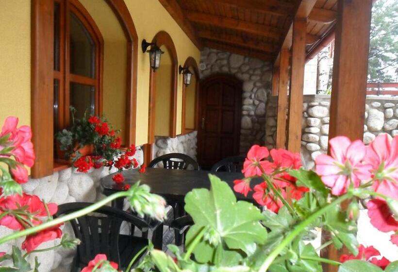 膳宿费 Penzión Country