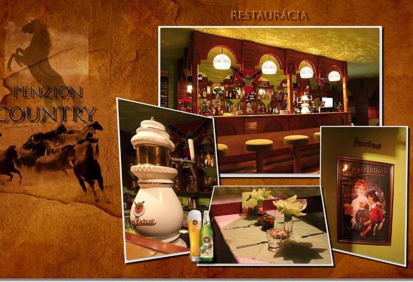 膳宿费 Penzión Country