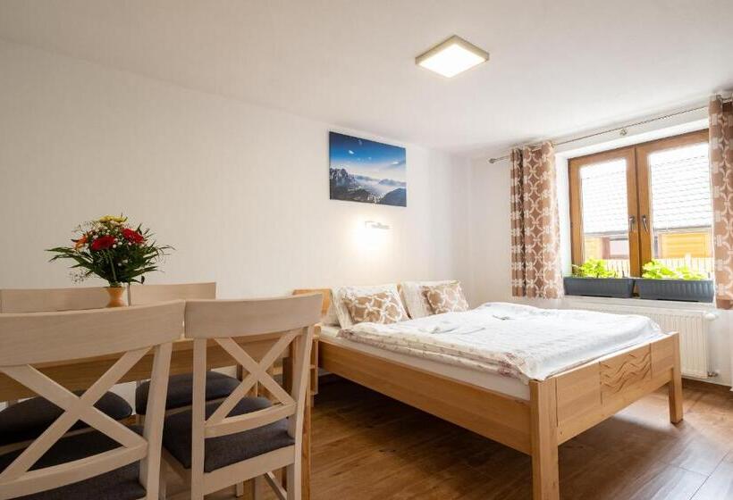 ペンション Penzion Kamzik A Drevenica