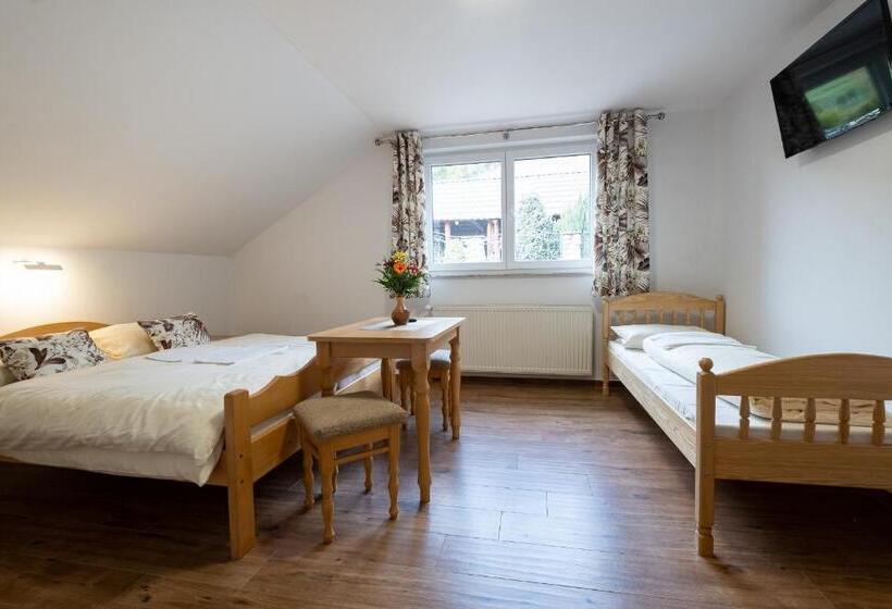 ペンション Penzion Kamzik A Drevenica