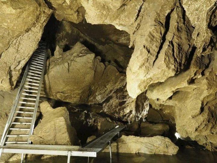 ペンション Penzion Kamzik A Drevenica