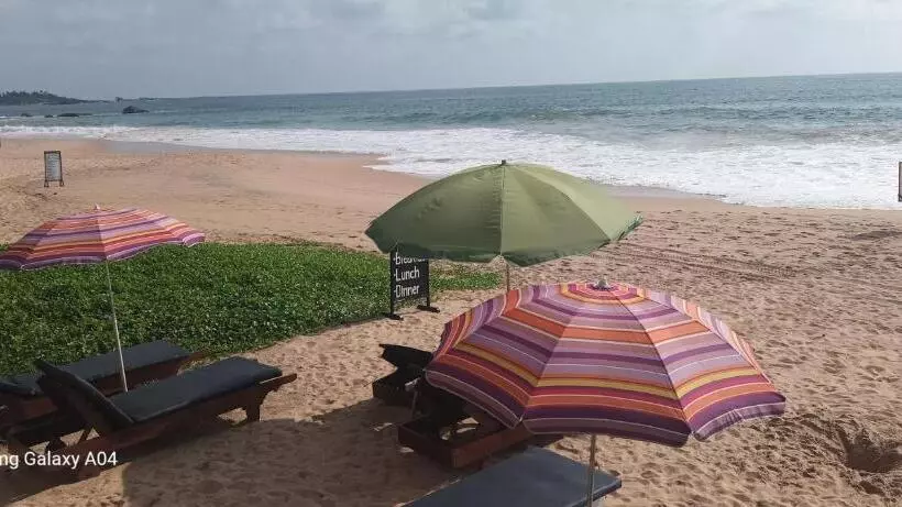 پانسیون Tamaro Beach Resort