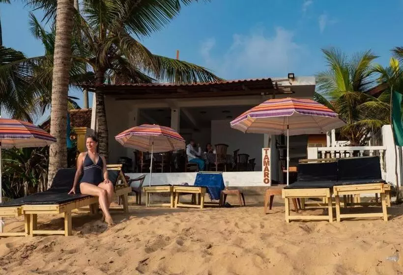 پانسیون Tamaro Beach Resort