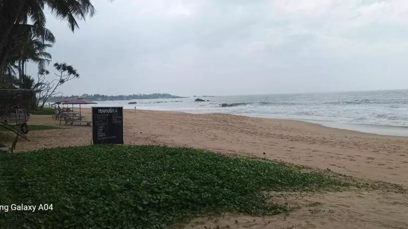 پانسیون Tamaro Beach Resort