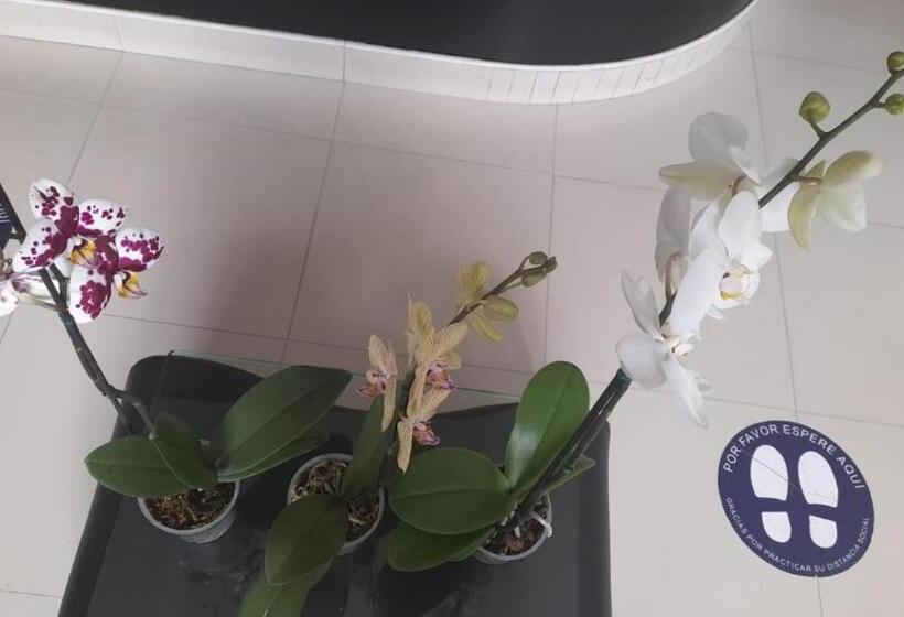 Venecia Hotel Carrion