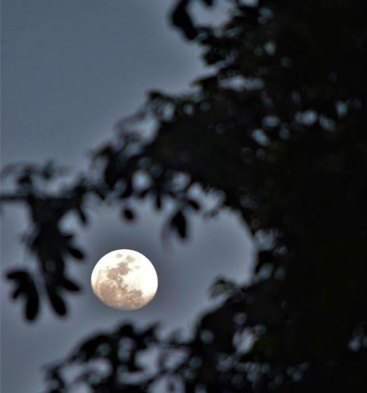 ユースホステル Moana Guest House