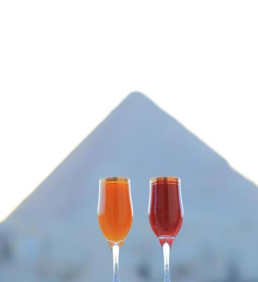 تختخواب و صبحانه Grensha Pyramid And Sphinx View